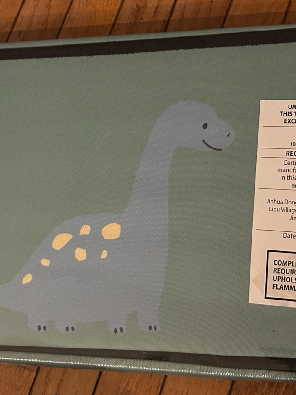 Livarno Home Children's Storage Ottoman - Teal Dinosaur - Picture 4 of 7